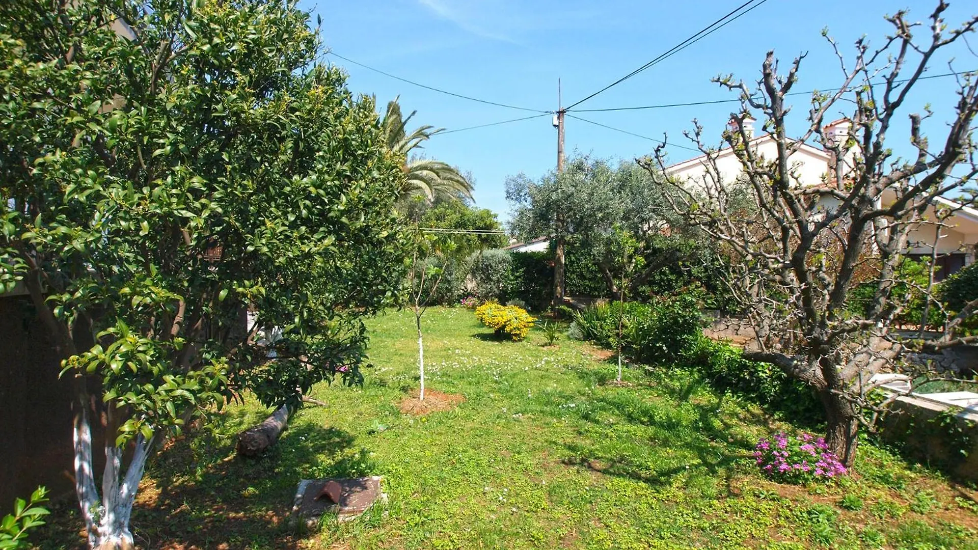 Apartment Emina 2317 Premantura Croatia